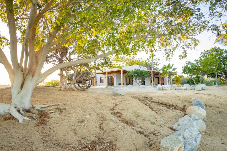 Casita through the trees