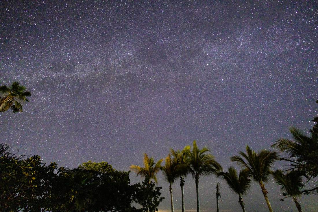 Milky Way over the palms