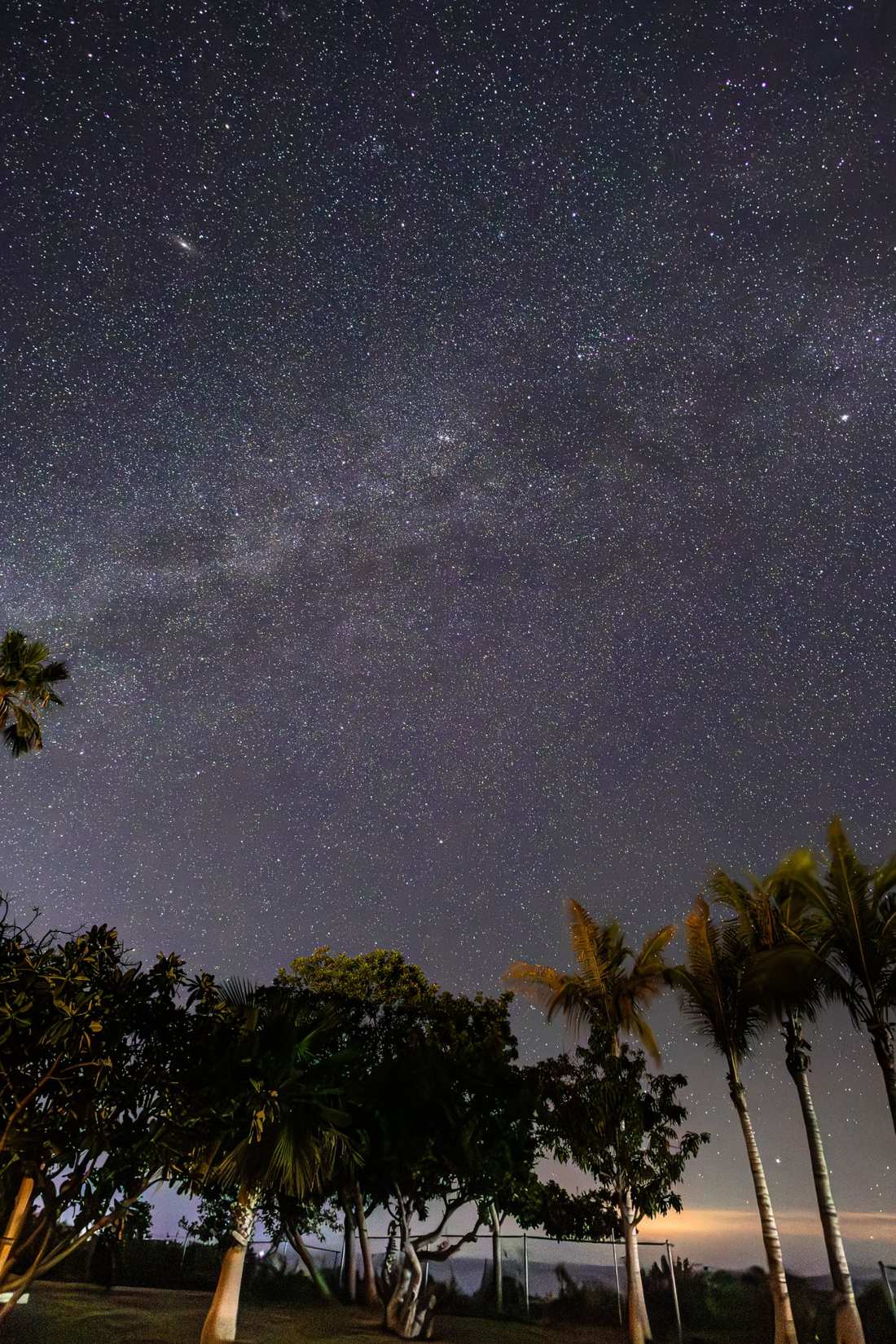 Milky Way portrait