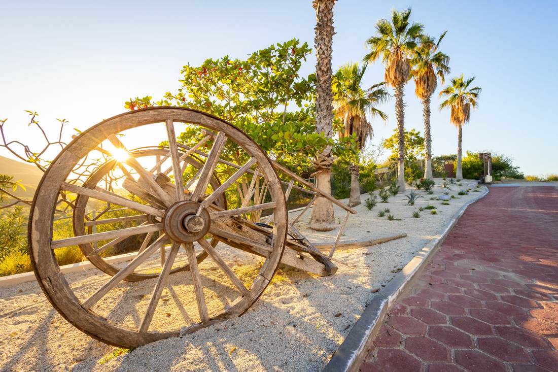 Wagon wheel at golden hour
